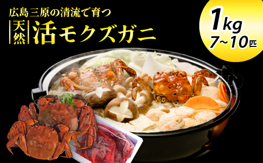 【先行受付】広島県産 天然活きモクズガニ（オス・メス混合/1kg） 2025年12月16日発送予定 天然 サイズ混ざり 国産  藻屑蟹 川蟹 川ガニ 上海蟹  唐揚げ 味噌汁 蒸し 茹で ボイル レシピ付き 117022