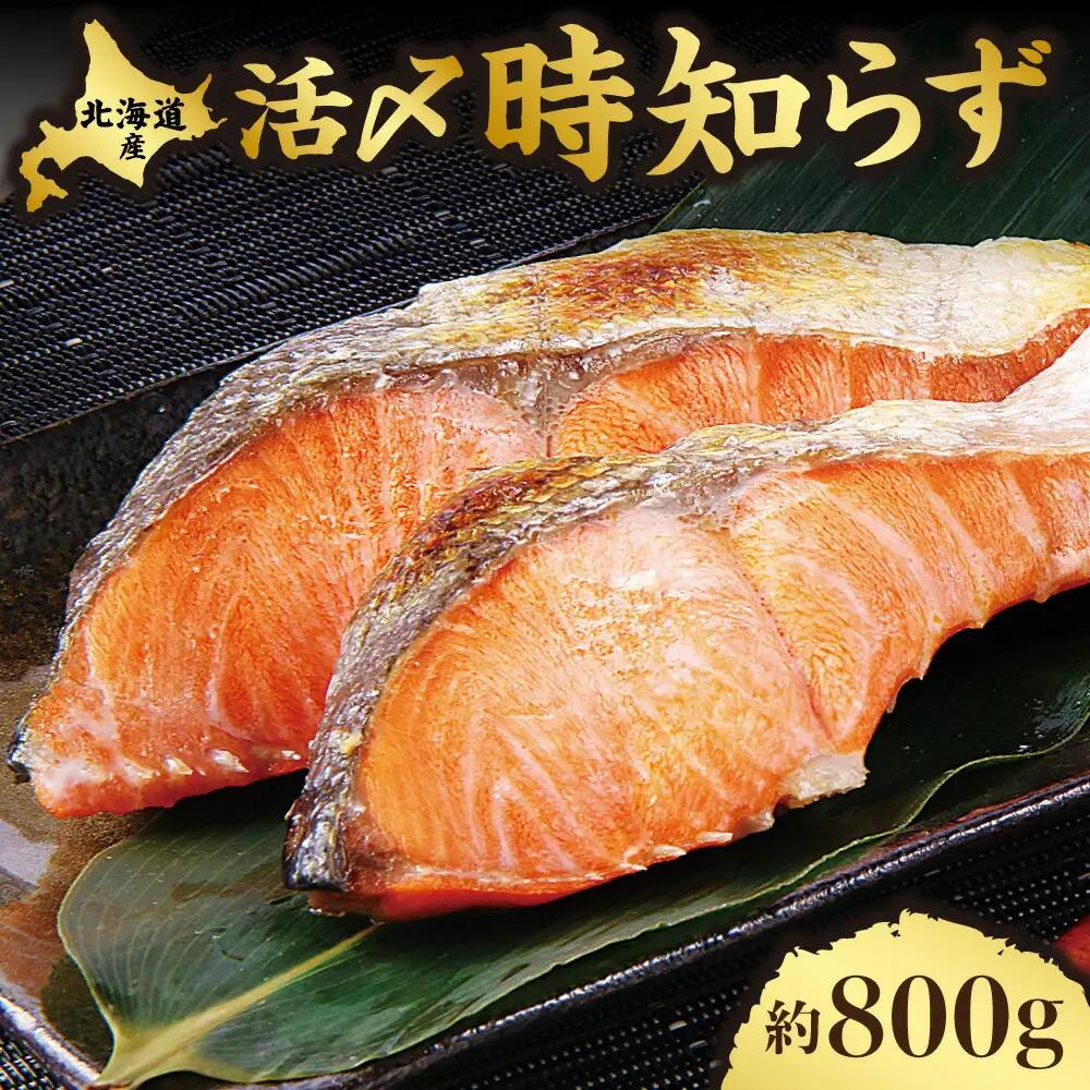 活〆 時知らず 天然 鮭切身 中塩仕込 10切(2切160g×5パック) 800g  知床斜里産