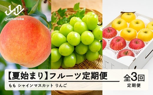 
            【先行予約】【夏始まり】フルーツ定期便 全3回 2026産 令和8年産 白桃 ぶどう シャインマスカット りんご サンふじ シナノゴールド  果物 送料無料 ns-ft3xx-sm ※沖縄及び離島への配送不可
          