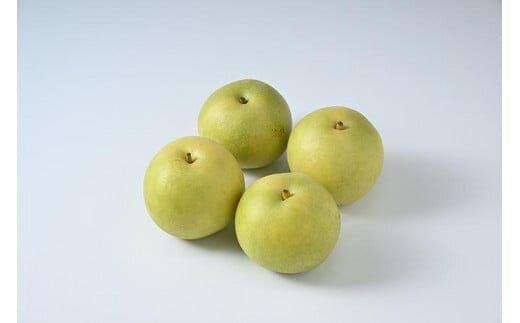 610.【先行予約】【家庭用】二十世紀梨 5kg前後 (10個～16個前後) 鳥取県産 梨 なし※着日指定不可※2026年8月下旬～9月中旬頃に順次発送予定