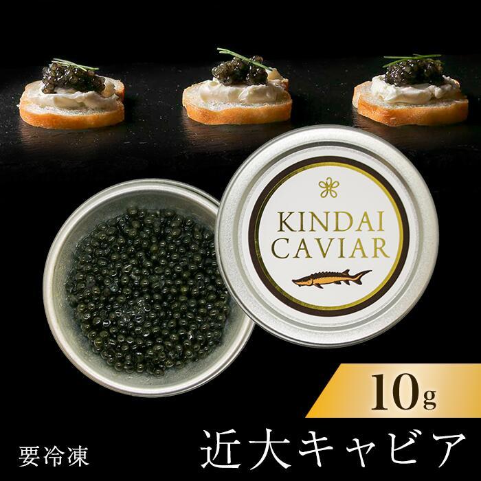 【ふるさと納税】近大キャビア10g×1個 | 和歌山県 和歌山 那智勝浦町 返礼品 キャビア ごちそう ご馳走 パーティー お取り寄せグルメ 珍味 プレゼント ギフト 贈り物 贈答品 贈答用 酒のつまみ おつまみ 酒の肴 取り寄せ 名産品 特産品 お土産 食べ物 たべもの グルメ