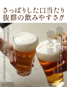 曽爾高原ビール12本セット / ビール 瓶ビール 奈良県 醸造 ラガービール エールビール ビール 瓶ビール 奈良県 醸造 ラガービール エールビール  テッパン返礼品 クラフトビールを楽しもう 奈良