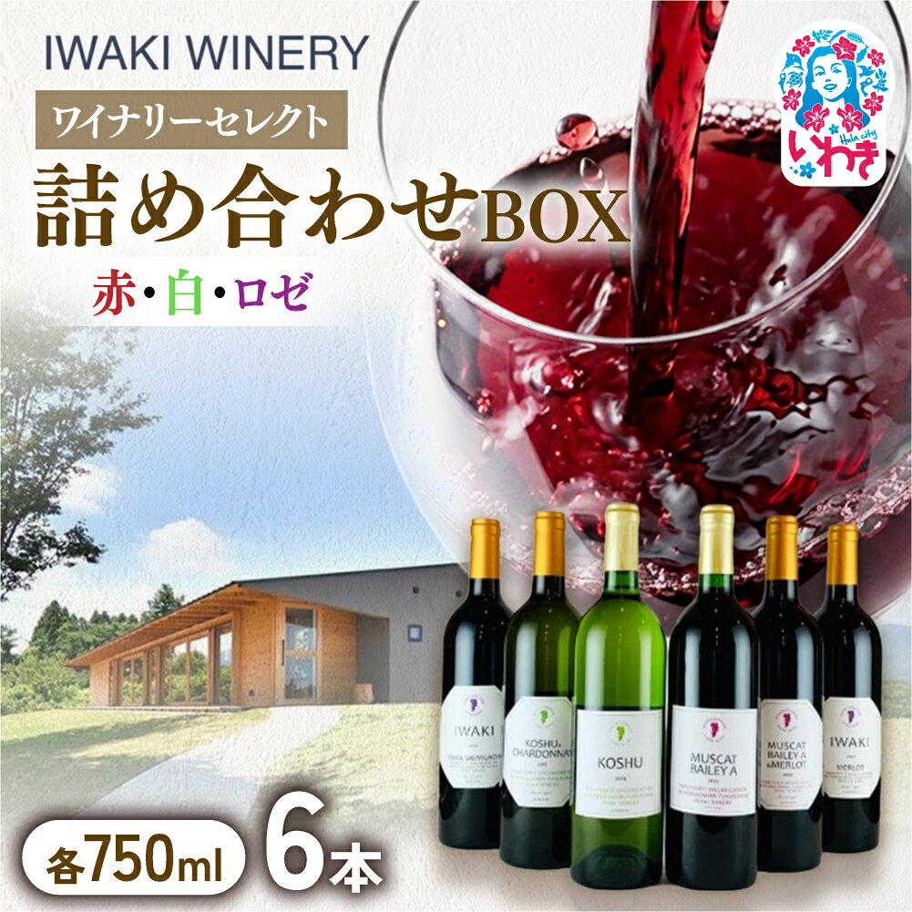 【ふるさと納税】いわきワイナリー ぜいたくワイン詰め合わせボックス 750ml×6本 | いわき市 いわきワイナリー ワインセット 6本セット 日本ワイン 赤ワイン 白ワイン ロゼワイン 飲み比べ 自社農園ぶどう 国産ぶどう ワイナリー醸造 樽熟成 果実酒 詰め合わせ | CR005