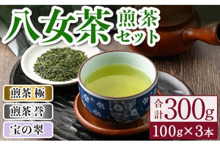 八女茶煎茶セット 極・ 誉・宝の翠(合計300g・100ｇ×3本) 緑茶 せん茶 お茶 許斐本家 福岡 やめ  常温 常温保存【ksg1316】【くしだ企画】