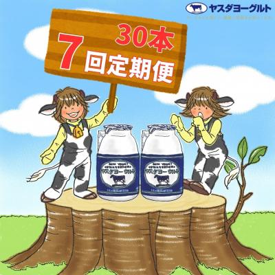 ふるさと納税 阿賀野市 【7ヶ月定期便】ヤスダヨーグルト 　150g×30本