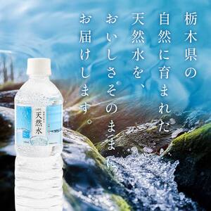 水 ミネラルウォーター 天然水 500ml 48本 お水 飲料水 軟水で飲みやすい 備蓄品としてもオススメ F7Z-413