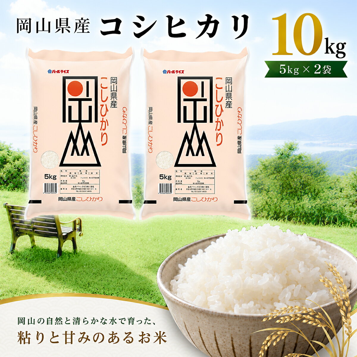 【ふるさと納税】令和7年産 岡山県産 こしひかり 10kg（5kg×2袋） 白米 お米 コシヒカリ こしひかり 岡山県 瀬戸内市 【配達不可：北海道・沖縄・離島】 　お届け：2025年10月1日〜2026年8月31日