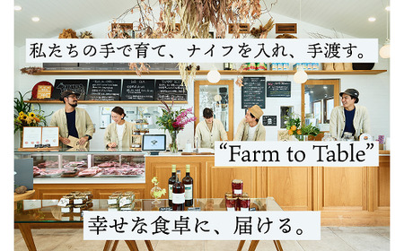 【牧場直送】佐賀産黒毛和牛 赤身ブロック肉 500g：B015-077