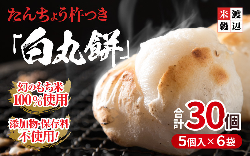 
            たんちょう杵つき「白丸餅」5個 × 6パック 計30個 特別栽培もち米使用！ ～幻のもち米100％使用～ 【つきたて モチモチ 添加物・保存料不使用 お雑煮 ぜんざい おやつにも 餅 もち おもち お餅 丸もち 福井 坂井市】 [A-2957]
          