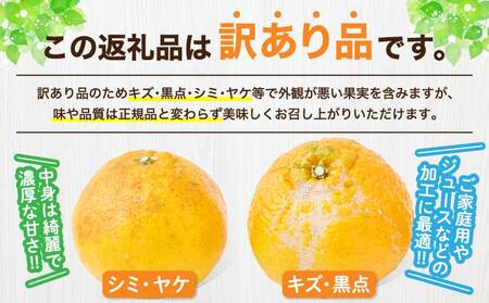 先行予約 訳あり 熊本大見柑 (不知火)  約3kg（7～12玉前後）2027年3月上旬から2027年4月中旬発送予定
