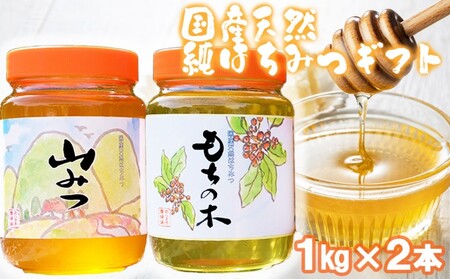はちみつ 国産天然 純はちみつ もちのき やまみつ はちみつ【1kg×2本】【化粧箱入り】