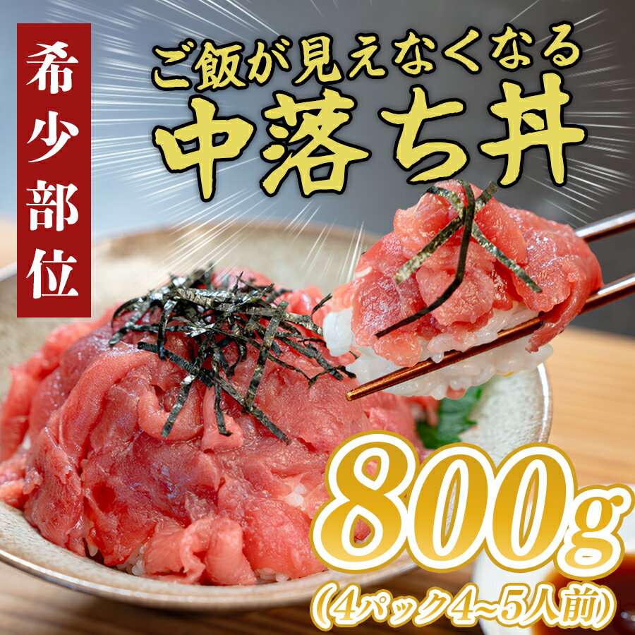【ふるさと納税】【12/23までの寄付で年内配送】マグロ 中落ち まぐろ 800g｜本マグロ 本まぐろ 鮪 刺身 さしみ 刺し身 ネギトロ ねぎとろ まぐろたたき 年末 年始 正月 贅沢 おもてなしセレクション 金賞 受賞 ランキング 人気 大容量 高知県 大月町