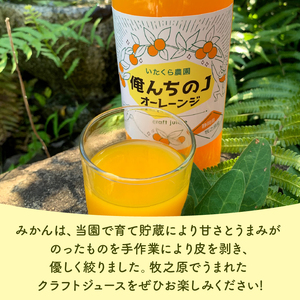 みかん ジュース 選べる 1000ml×6本 青島 ミカン 柑橘 蜜柑 ビタミン おいしい 果樹園 直送 甘い 有機肥料 テロワール オレンジジュース オレンジ みかん いたくら農園 静岡県 牧之原市