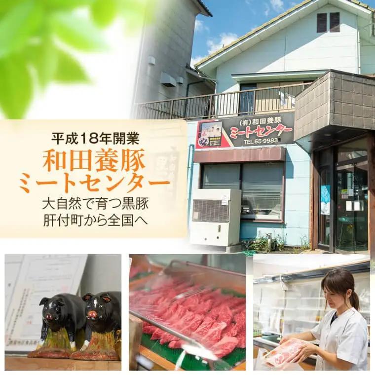 ＜定期便・全10回＞かごしま黒豚 ファミリーセットD 国産 豚肉 焼豚 餃子 しゃぶしゃぶ とんかつ【和田養豚】E02008