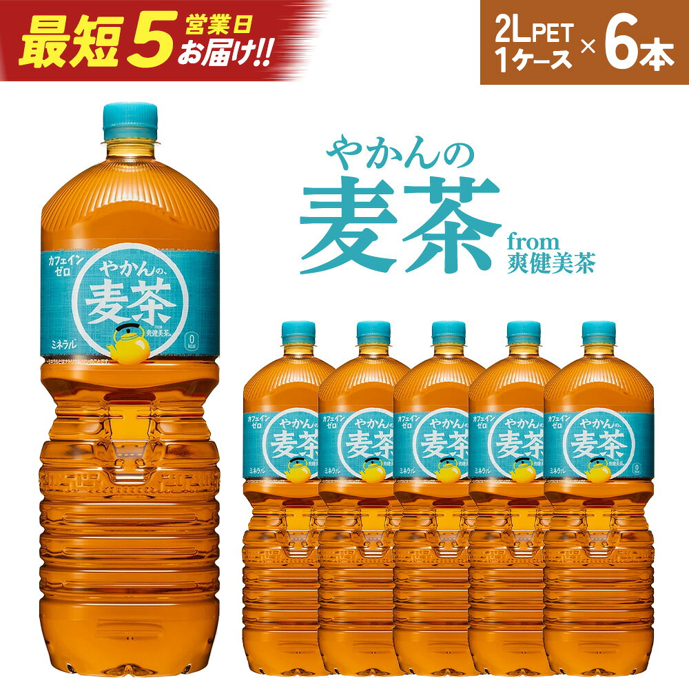 【ふるさと納税】やかんの麦茶from爽健美茶　PET2L×6本　【04301-0522】