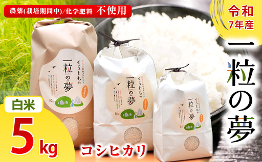 白米 コシヒカリ 5kg 農薬 ( 栽培期間中不使用 )・ 化学肥料不使用 令和7年産 米