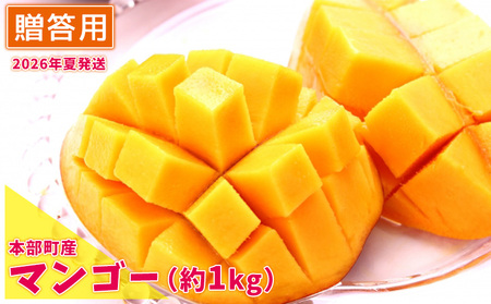 マンゴー【2026年夏発送】もとぶ町産マンゴー（贈答用）約1kg詰め