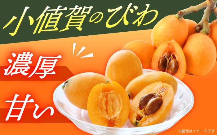 【先行予約】びわ 4パック 長崎県 ビワ 小値賀町 大島 【2026年6月発送】【神川農園】  [DBT006]