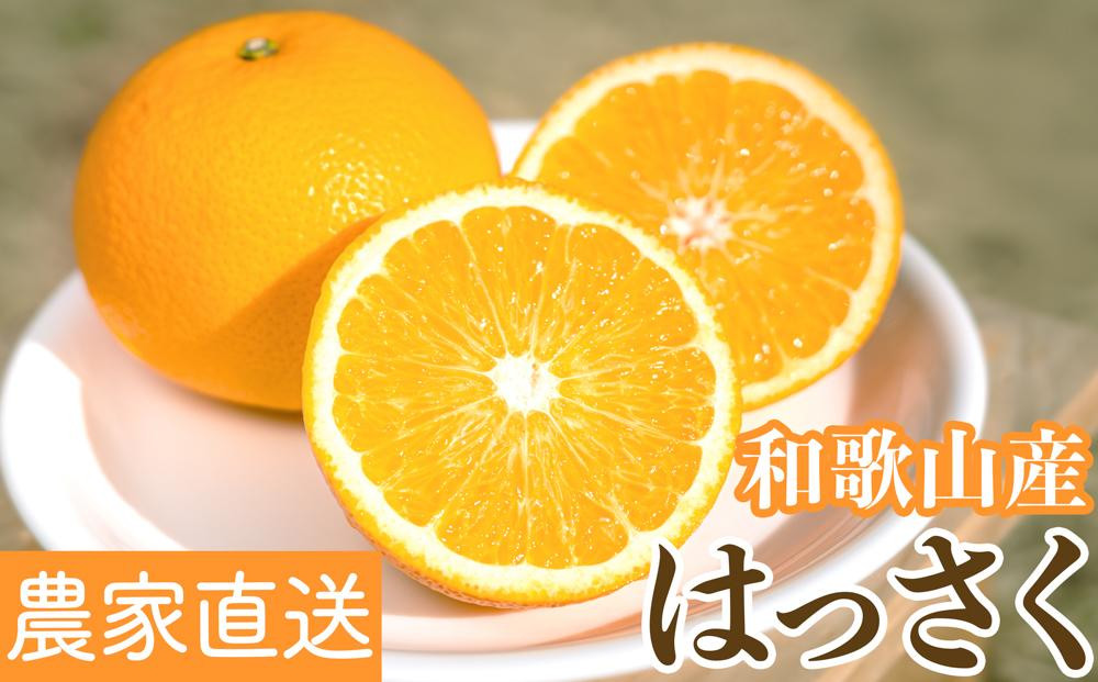 
            ［先行予約］和歌山県産はっさく秀品 10kg（L ～ 2L）［2026年1月中旬以降より順次発送］
          