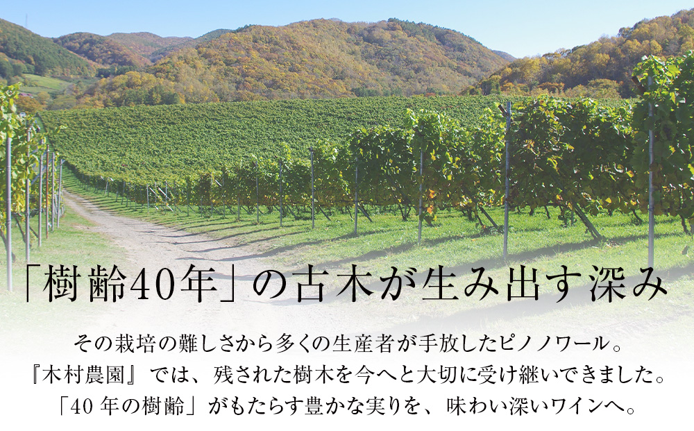 【数量限定】キムラヴィンヤード古木2024 1本