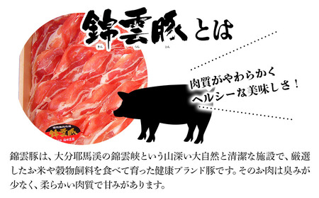 ボリューム満点！錦雲豚ブランド肉 1.5㎏ 便利な小分け 豚肉 すき焼き ステーキ 焼肉 焼き肉 しゃぶしゃぶ 大分県産 中津市 