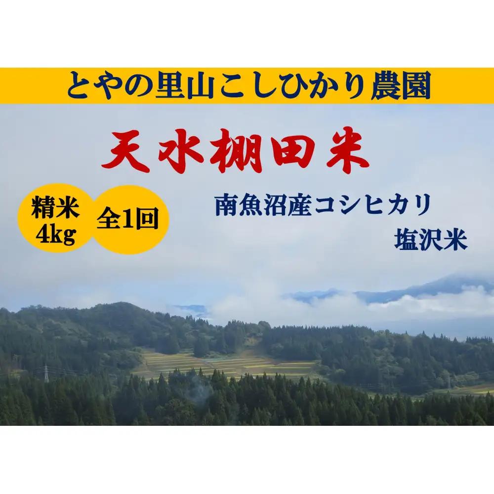令和8年産新米予約【天水棚田米】雪蔵熟成塩沢産コシヒカリ精米4kg1回「とやの里山継承プロジェクト」【銘柄米 ブランド米 精米 こしひかり コシヒカリ 魚沼産 新潟米 お米 米 こめ】【2026年10月下旬より順次発送予定】
