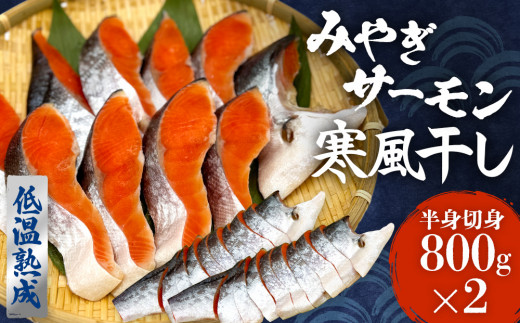 鮭 切り身 みやぎ サーモン 寒風干し 800g×2 1.6kg 宮城県産銀鮭 銀鮭 国産 さけ サケ シャケ 魚 切り身 冷凍 小分け 焼き魚 さかな 切身 おかず ご飯のお供 弁当 簡単調理 魚介 海鮮 熟成 高品質 高鮮度 低温熟成 宮城県 石巻 石巻市 送料無料
