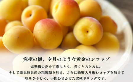 完熟梅 ドリンク 「 夕梅 」 ギフト 710 ml 2本 | シロップ 梅 はちみつ 有限会社 農悠舎