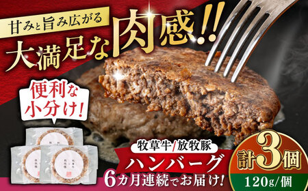 【全6回定期便】　【牧草牛×放牧豚】ハンバーグ 3個 《厚真町》【GOODGOOD株式会社】 ハンバーグ 牛肉 豚肉 小分け 冷凍配送 北海道[AXBP024]