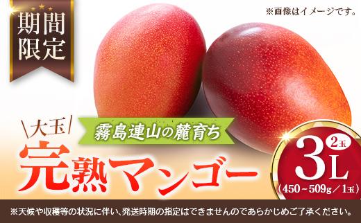 宮崎 樹上完熟 マンゴー 3Lサイズ×2玉 霧島連山の麓育ち 宮崎県産 トロピカル フルーツ お取り寄せ 果物 旬