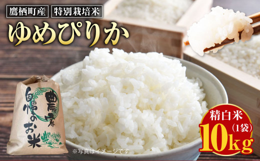 【令和7年産】 ゆめぴりか （精白米） 10kg 北海道 鷹栖町 たかすのおむすび 米 コメ ご飯 精白米 お米