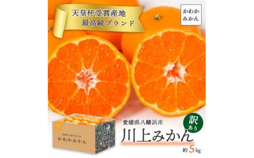 ＜天皇杯受賞産地＞ 愛媛県八幡浜市川上町産 温州みかん 約5kg＜訳あり＞＜C25-247＞【1654045】
