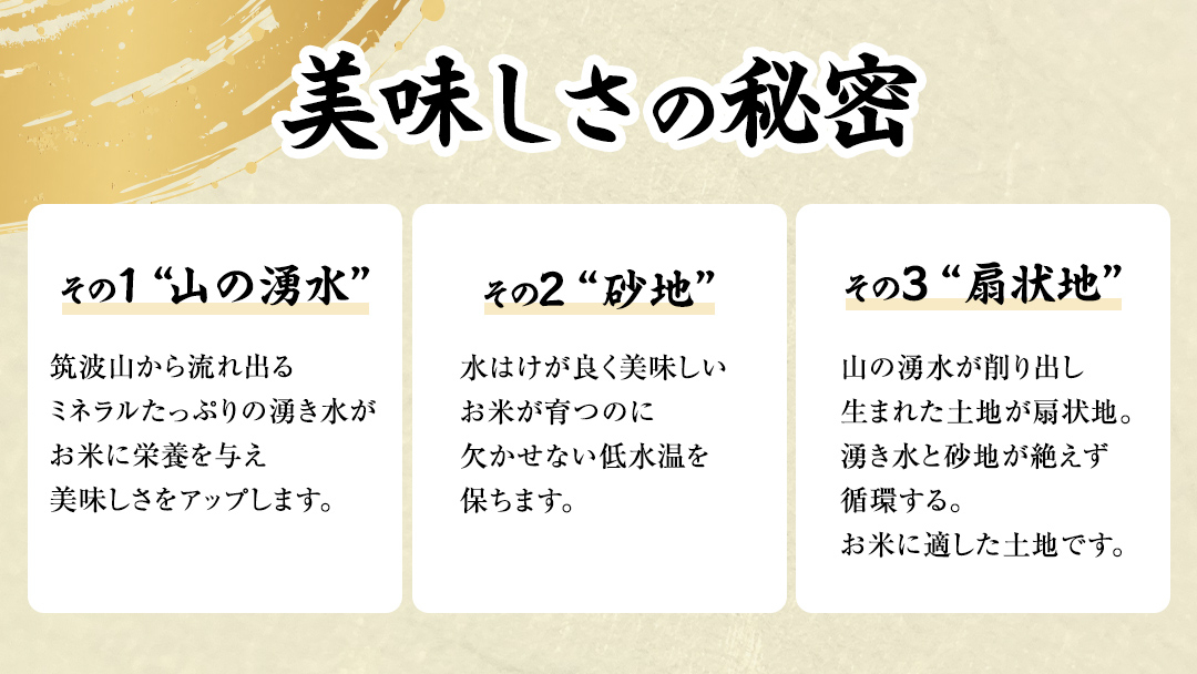 《全4回 定期便》《 令和8年産 先行予約 》 コシヒカリ 「幻の米 羽鳥米」 計 12kg (3kg × 4回) 筑波北麓秘蔵米 お米 ごはん 精米 コメ 白米 国産 茨城県 桜川市 限定 期間限定