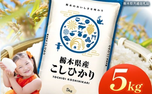 栃木県産コシヒカリ 5kg | 2025年 2025年米 令和7年米 秋 白米 ごはん ご飯 小分け 人気 おいしい 旨い おにぎり おむすび お弁当 限定 栃木県共通返礼品 栃木県 下野市 送料無料
