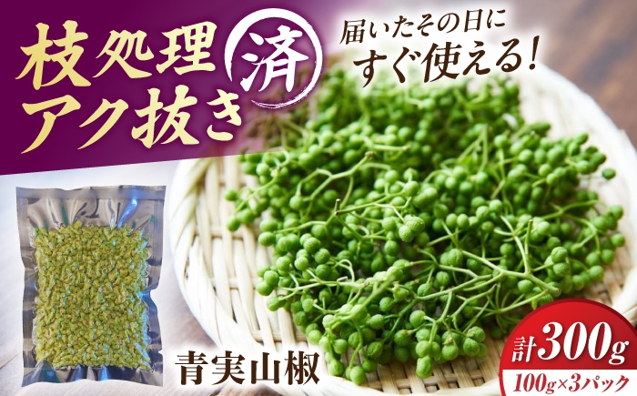 
                  【佃煮の伊吹】青実山椒 300g 山椒 さんしょう 下処理済み 枝処理 アク抜き済み 青実山椒 冷凍 真空 小分け 滋賀県長浜市/伊吹食品株式会社 [AQCA012]
                