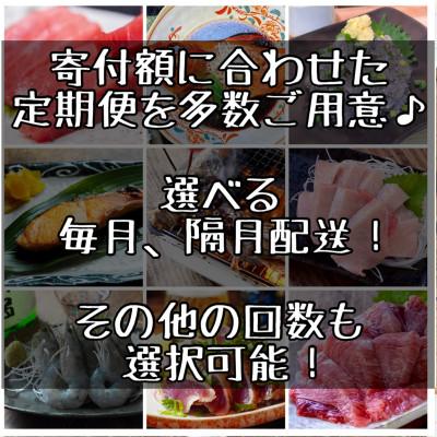 ふるさと納税 小田原市 【2ヵ月毎定期便】特選!海鮮セット!日本酒、焼酎のアテにピッタリ!【神奈川県小田原市早川】全6回 |  | 03