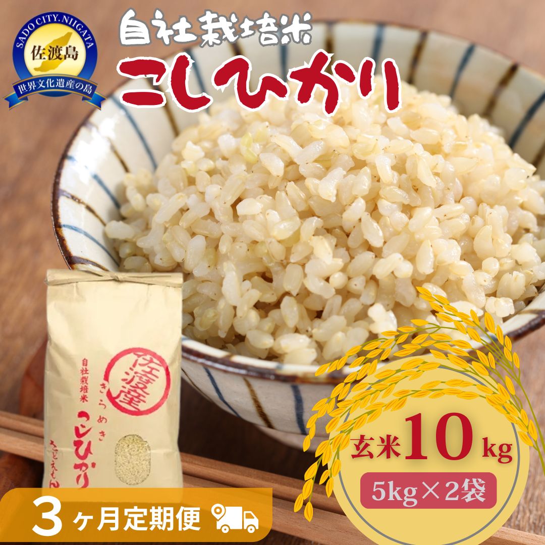 自社栽培米佐渡産こしひかり（玄米10kg）3カ月定期便195954-0012
