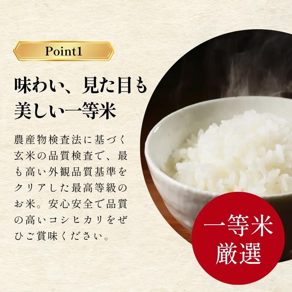 コシヒカリ〈スピード発送〉新米 丹波コシヒカリ〈低農薬 80%減〉特別栽培米 5kg コシヒカリ
