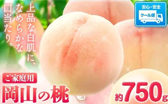 【2027年発送】岡山の桃 約750g 　白桃