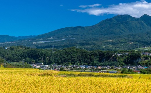【令和8年産 先行予約】喜多方産天のつぶ5kg  4か月定期便(計20kg)　【07208-1030】