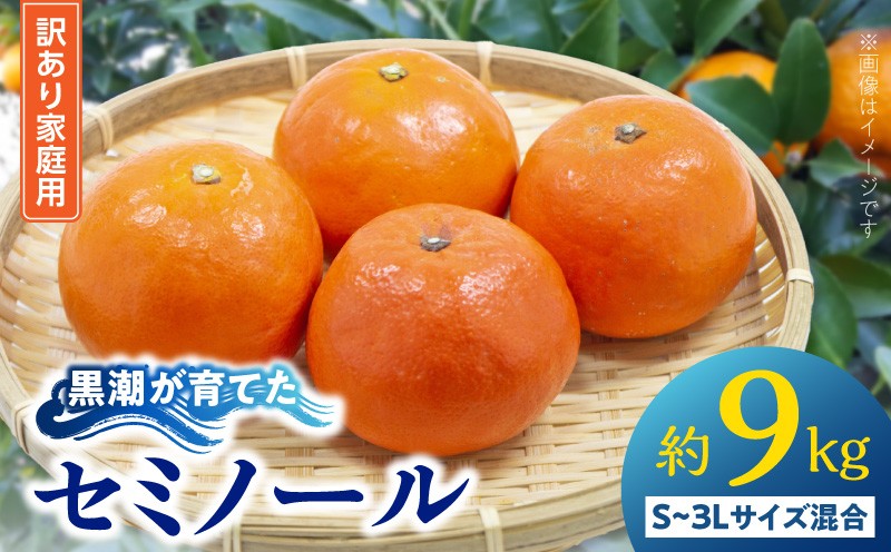 
                  AE6119_【訳あり 家庭用】 黒潮が育てた セミノール 約9kg (S~3Lサイズ混合)
                