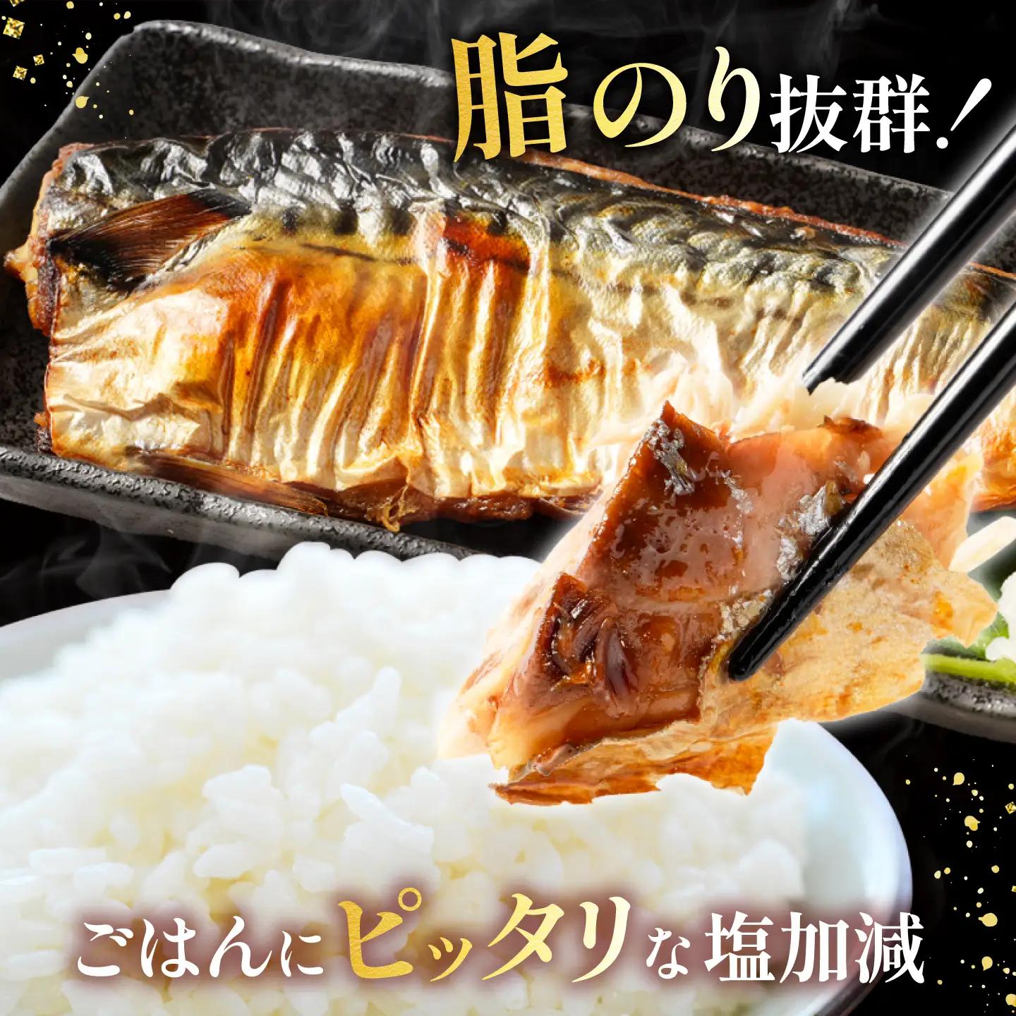 鯖 訳あり 5kg 塩鯖
