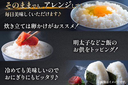 【白米】《定期便》 10kg (5kg袋小分け) ×8回 令和7年産 ひとめぼれ 土作り実証米 合計80kg 秋田県産