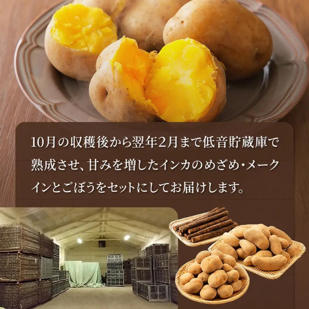 2026年産 先行予約 北海道産 越冬 インカのめざめ メークイン ごぼう セット 計9kg 北海道 上士幌町 西原農場 野菜 熟成 じゃがいも ジャガイモ インカ インカの目覚め 馬鈴薯 詰め合わせ