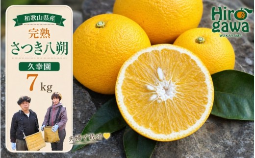 
                  完熟 さつき 八朔 7kg / はっさく 甘い 和歌山 柑橘 ※2027年4月上旬～5月上旬頃に順次発送予定 【hsk022-r-7】
                