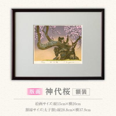 ふるさと納税 小牧市 版画「神代桜」[201M08]