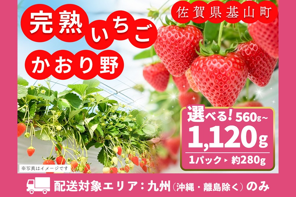 
            【九州内配送】【先行受付 2026年1月より発送】【農場直送】内容量が選べる かおり野【約280g 2パック or 4パック ふるさと納税 基山町産 いちご イチゴ 朝採れ 完熟果】K100P012
          