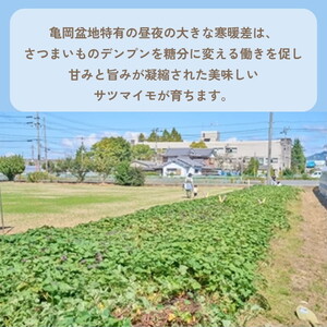 焼き芋がゴロゴロ入った アイス最中 8個セット 国産さつまいも使用 和スイーツ ギフト 人気 アイス 冷凍 和菓子 お取り寄せ ※北海道・沖縄・離島への配送不可