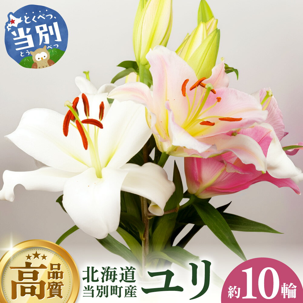 【ふるさと納税】 北海道当別町産 ユリ 6種 おまかせ 1品種3〜5本 約10輪 白 ピンク 百合 ゆり 生花 花 切花 花束 ブーケ フラワー アレンジメント 植物 ギフト プレゼント サプライズ 高品質 厳選 北海道 当別町