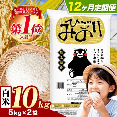 ふるさと納税 氷川町 【12ヶ月定期便】ひごみのり 白米 熊本県産 ブレンド米 10kg《お申込み翌月から出荷》